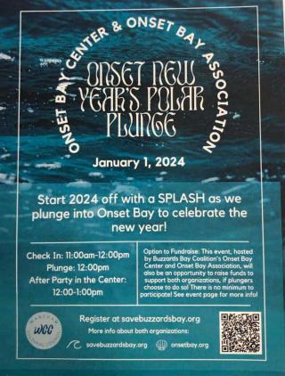 Onset New Year's Polar Plunge 