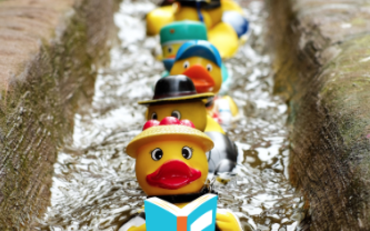 Friends of the Wareham Free Library Rubber Duck Race